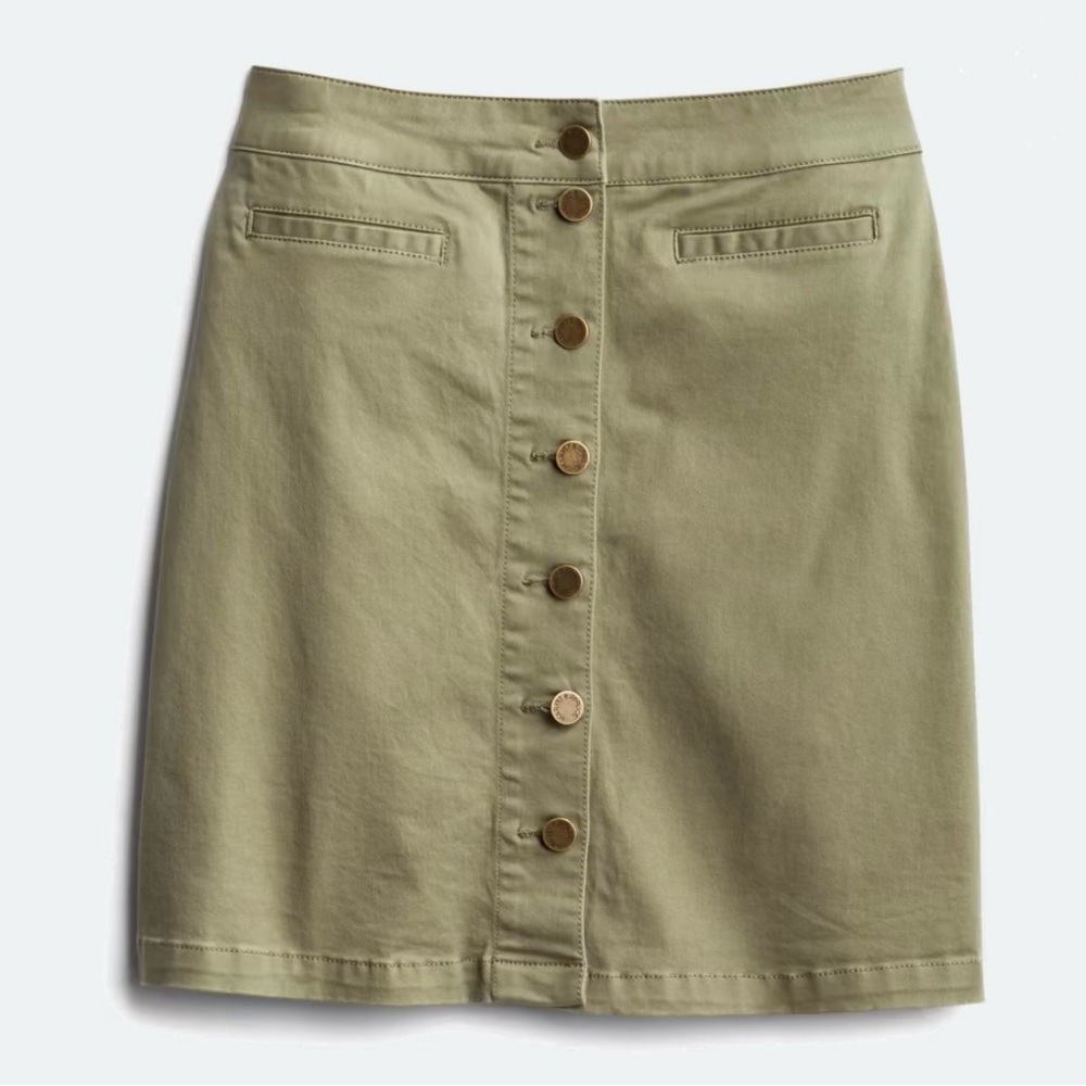 Market & Spruce Robertina Button Front Skirt